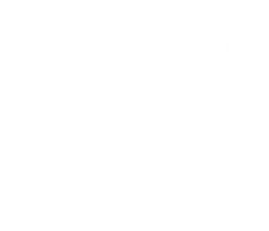 geoestaca fundações